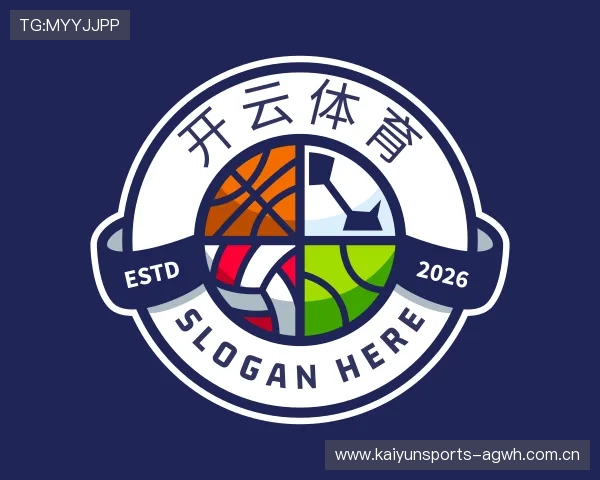 介绍开云官网入口
